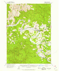 Elkton Oregon Historical topographic map, 1:62500 scale, 15 X 15 Minute, Year 1955