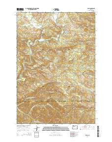 Elsie Oregon Current topographic map, 1:24000 scale, 7.5 X 7.5 Minute, Year 2014