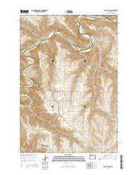 Esau Canyon Oregon Current topographic map, 1:24000 scale, 7.5 X 7.5 Minute, Year 2014