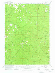 Fairview Peak Oregon Historical topographic map, 1:62500 scale, 15 X 15 Minute, Year 1955