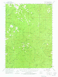 Fairview Peak Oregon Historical topographic map, 1:62500 scale, 15 X 15 Minute, Year 1955