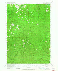 Fairview Peak Oregon Historical topographic map, 1:62500 scale, 15 X 15 Minute, Year 1955