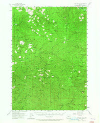 Fairview Peak Oregon Historical topographic map, 1:62500 scale, 15 X 15 Minute, Year 1955