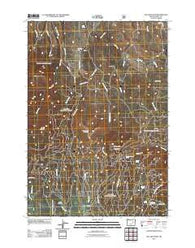 Fall Mountain Oregon Historical topographic map, 1:24000 scale, 7.5 X 7.5 Minute, Year 2011