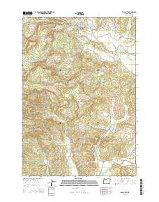 Falls City Oregon Current topographic map, 1:24000 scale, 7.5 X 7.5 Minute, Year 2014