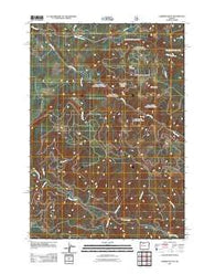 Farmers Butte Oregon Historical topographic map, 1:24000 scale, 7.5 X 7.5 Minute, Year 2011