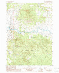 Ferguson Mountain Oregon Historical topographic map, 1:24000 scale, 7.5 X 7.5 Minute, Year 1988