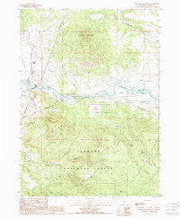 Ferguson Mountain Oregon Historical topographic map, 1:24000 scale, 7.5 X 7.5 Minute, Year 1988
