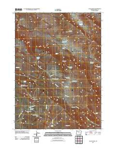 Fields Basin Oregon Historical topographic map, 1:24000 scale, 7.5 X 7.5 Minute, Year 2011
