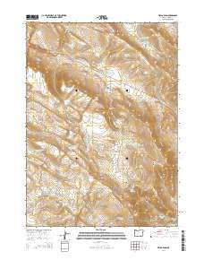 Fields Basin Oregon Current topographic map, 1:24000 scale, 7.5 X 7.5 Minute, Year 2014