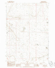 Fire Lake Oregon Historical topographic map, 1:24000 scale, 7.5 X 7.5 Minute, Year 1985