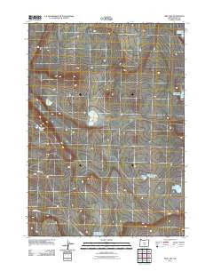 Fire Lake Oregon Historical topographic map, 1:24000 scale, 7.5 X 7.5 Minute, Year 2011