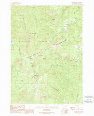 Fish Mountain Oregon Historical topographic map, 1:24000 scale, 7.5 X 7.5 Minute, Year 1989