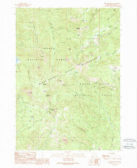 Fish Mountain Oregon Historical topographic map, 1:24000 scale, 7.5 X 7.5 Minute, Year 1989