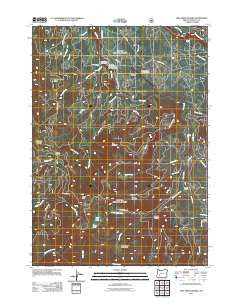 Fish Creek Desert Oregon Historical topographic map, 1:24000 scale, 7.5 X 7.5 Minute, Year 2011