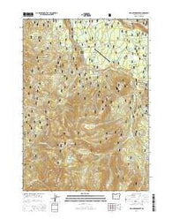 Fish Creek Desert Oregon Current topographic map, 1:24000 scale, 7.5 X 7.5 Minute, Year 2014