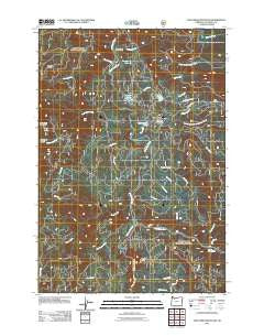 Fish Creek Mountain Oregon Historical topographic map, 1:24000 scale, 7.5 X 7.5 Minute, Year 2011