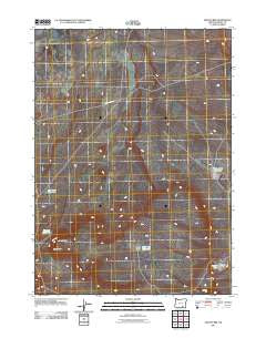 Fish Fin Rim Oregon Historical topographic map, 1:24000 scale, 7.5 X 7.5 Minute, Year 2011