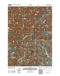 Fish Mountain Oregon Historical topographic map, 1:24000 scale, 7.5 X 7.5 Minute, Year 2011