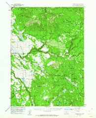 Fishhole Mtn Oregon Historical topographic map, 1:62500 scale, 15 X 15 Minute, Year 1960