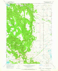 Fitzwater Point Oregon Historical topographic map, 1:24000 scale, 7.5 X 7.5 Minute, Year 1964