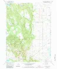 Fitzwater Point Oregon Historical topographic map, 1:24000 scale, 7.5 X 7.5 Minute, Year 1964