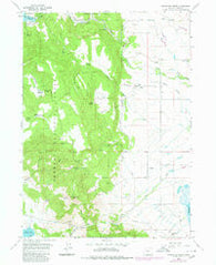 Fitzwater Point Oregon Historical topographic map, 1:24000 scale, 7.5 X 7.5 Minute, Year 1964