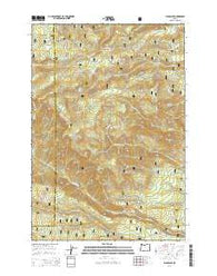 Flag Point Oregon Current topographic map, 1:24000 scale, 7.5 X 7.5 Minute, Year 2014