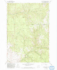 Flagstaff Butte Oregon Historical topographic map, 1:24000 scale, 7.5 X 7.5 Minute, Year 1993