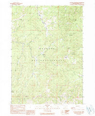Flagtail Mountain Oregon Historical topographic map, 1:24000 scale, 7.5 X 7.5 Minute, Year 1990