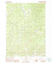Flagtail Mountain Oregon Historical topographic map, 1:24000 scale, 7.5 X 7.5 Minute, Year 1990