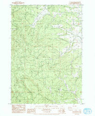 Flat Mountain Oregon Historical topographic map, 1:24000 scale, 7.5 X 7.5 Minute, Year 1984