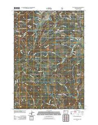 Flat Mountain Oregon Historical topographic map, 1:24000 scale, 7.5 X 7.5 Minute, Year 2011