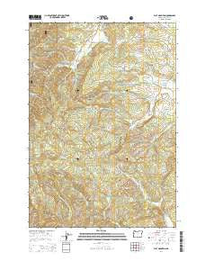 Flat Mountain Oregon Current topographic map, 1:24000 scale, 7.5 X 7.5 Minute, Year 2014