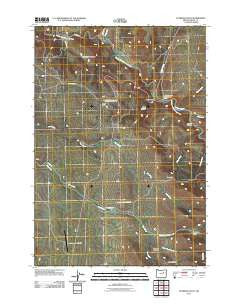 Flowers Gulch Oregon Historical topographic map, 1:24000 scale, 7.5 X 7.5 Minute, Year 2011