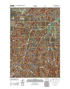 Fly Valley Oregon Historical topographic map, 1:24000 scale, 7.5 X 7.5 Minute, Year 2011