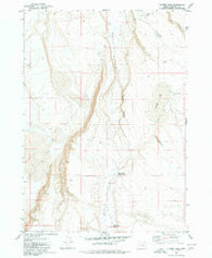 Flybee Lake Oregon Historical topographic map, 1:24000 scale, 7.5 X 7.5 Minute, Year 1980