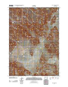 Folly Farm Oregon Historical topographic map, 1:24000 scale, 7.5 X 7.5 Minute, Year 2011