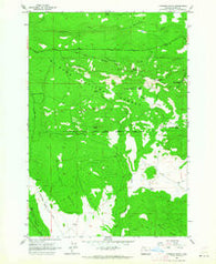 Foreman Point Oregon Historical topographic map, 1:24000 scale, 7.5 X 7.5 Minute, Year 1962