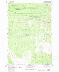 Foreman Point Oregon Historical topographic map, 1:24000 scale, 7.5 X 7.5 Minute, Year 1962