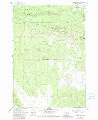 Foreman Point Oregon Historical topographic map, 1:24000 scale, 7.5 X 7.5 Minute, Year 1962