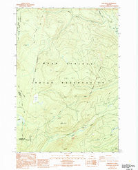Fort Butte Oregon Historical topographic map, 1:24000 scale, 7.5 X 7.5 Minute, Year 1988