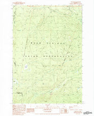 Fort Butte Oregon Historical topographic map, 1:24000 scale, 7.5 X 7.5 Minute, Year 1988