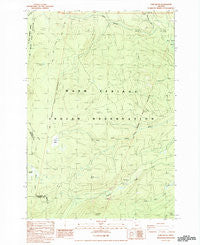Fort Butte Oregon Historical topographic map, 1:24000 scale, 7.5 X 7.5 Minute, Year 1988