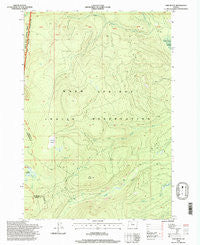 Fort Butte Oregon Historical topographic map, 1:24000 scale, 7.5 X 7.5 Minute, Year 1996