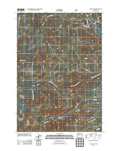 Fort Butte Oregon Historical topographic map, 1:24000 scale, 7.5 X 7.5 Minute, Year 2011