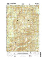 Fort Butte Oregon Current topographic map, 1:24000 scale, 7.5 X 7.5 Minute, Year 2014