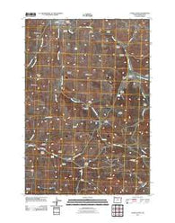 Fossil South Oregon Historical topographic map, 1:24000 scale, 7.5 X 7.5 Minute, Year 2011