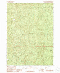 Fourth of July Creek Oregon Historical topographic map, 1:24000 scale, 7.5 X 7.5 Minute, Year 1989