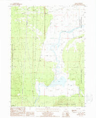 Fuego Oregon Historical topographic map, 1:24000 scale, 7.5 X 7.5 Minute, Year 1988